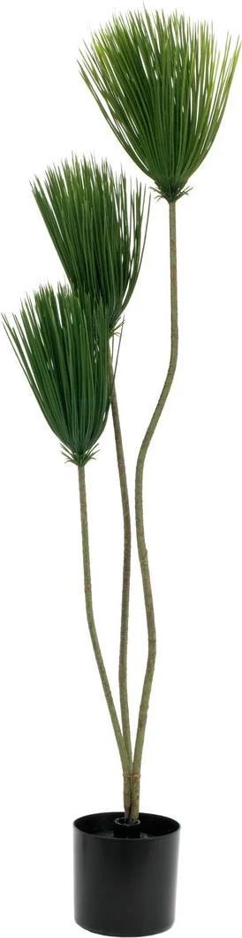 EUROPALMS Papyrus mākslīgais augs, 100 cm