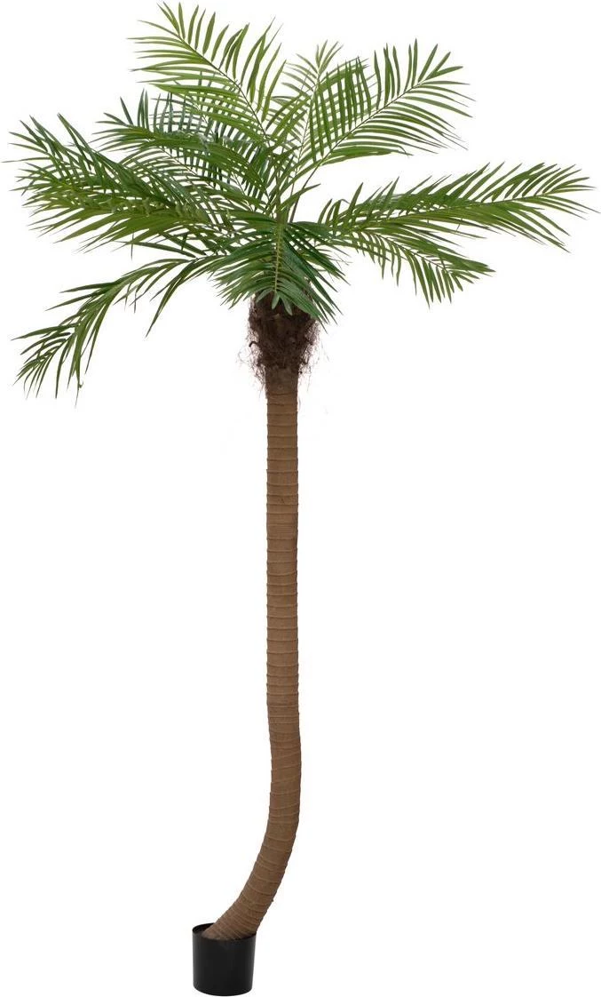 EUROPALMS Luxor Curved Artificial Phoenix Palm