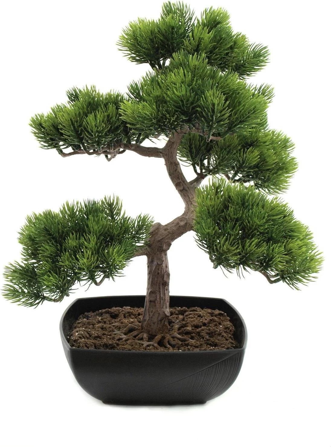 EUROPALMS Bonsai Pine mākslīgais augs, 50