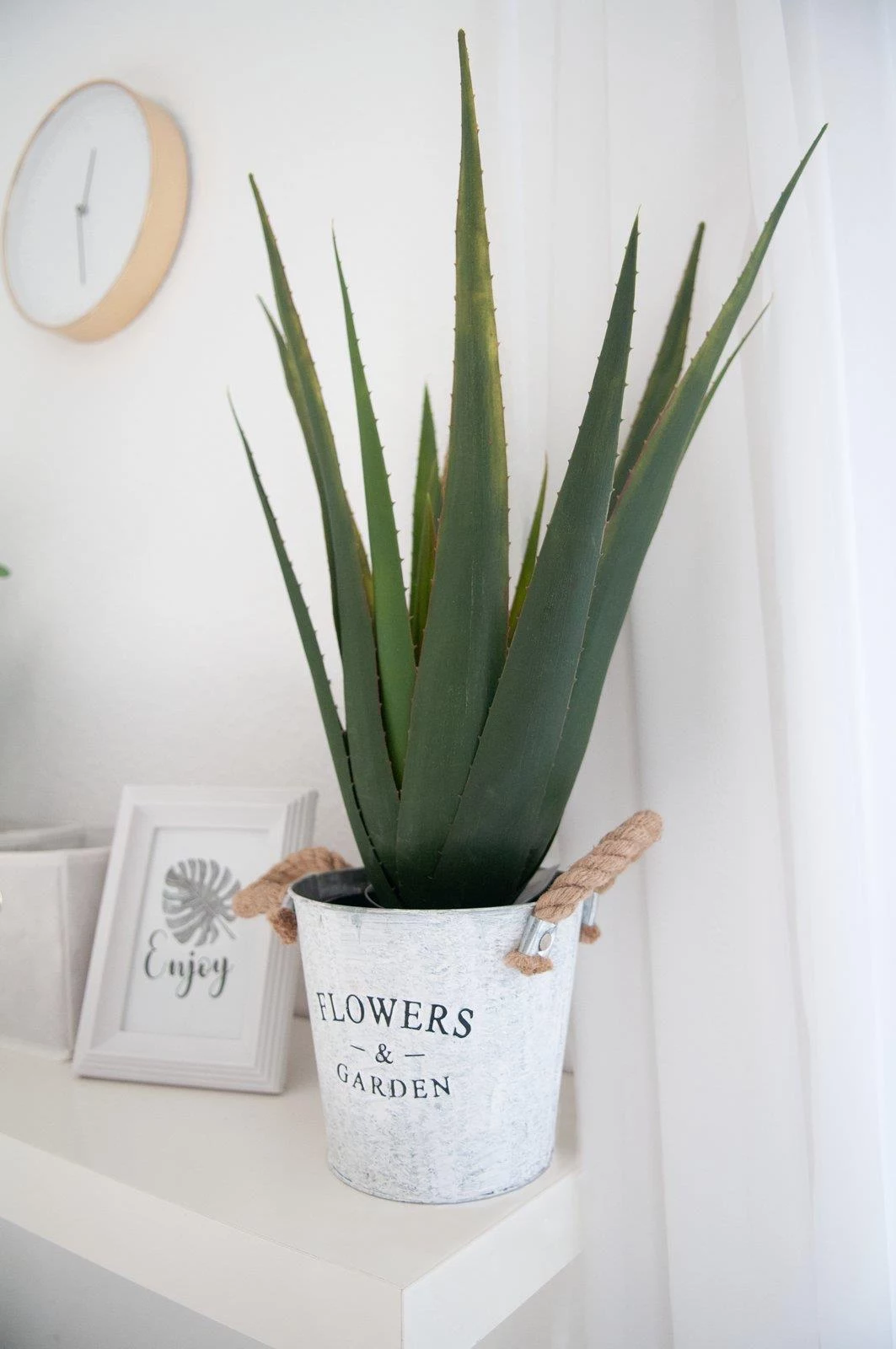 EUROPALMS mākslīgais alvejas augs, 60 cm
