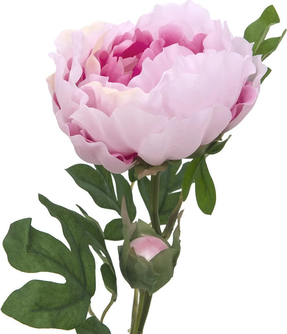 EUROPALMS Peony Branch Classic, mākslīgais augs