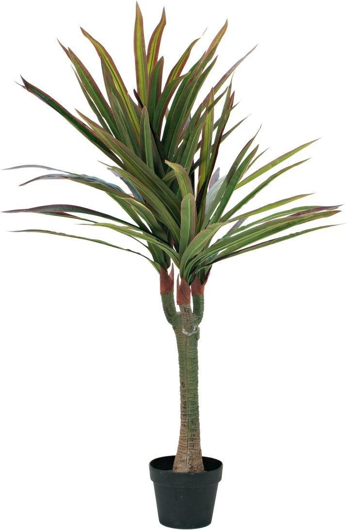 EUROPALMS Dracena mākslīgais augs, 120 cm