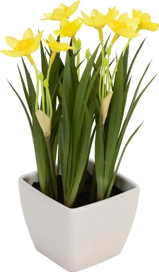 EUROPALMS mākslīgais narcises stāds, 23cm, dzelteni
