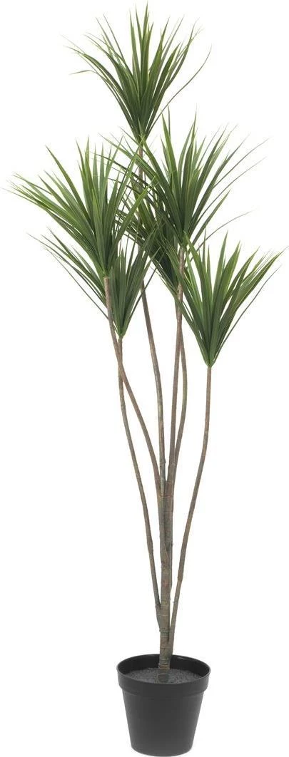 EUROPALMS mākslīgā jukas palma, 130cm 82511552