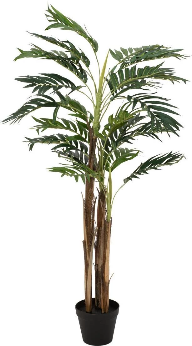EUROPALMS Areca Palm mākslīgais augs, 110