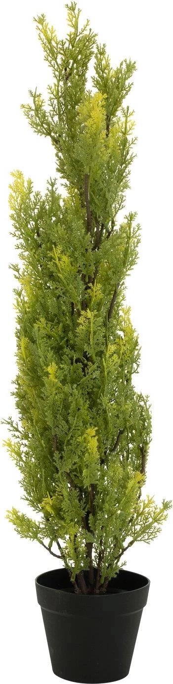 EUROPALMS Leyland Cypress mākslīgais augs, 90cm