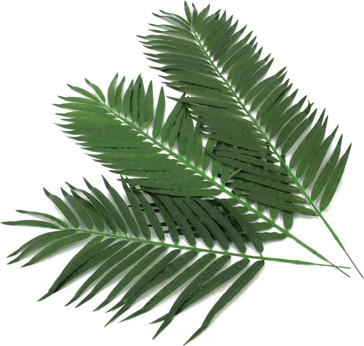 EUROPALMS mākslīgās kokospalmas lapas, 80 cm