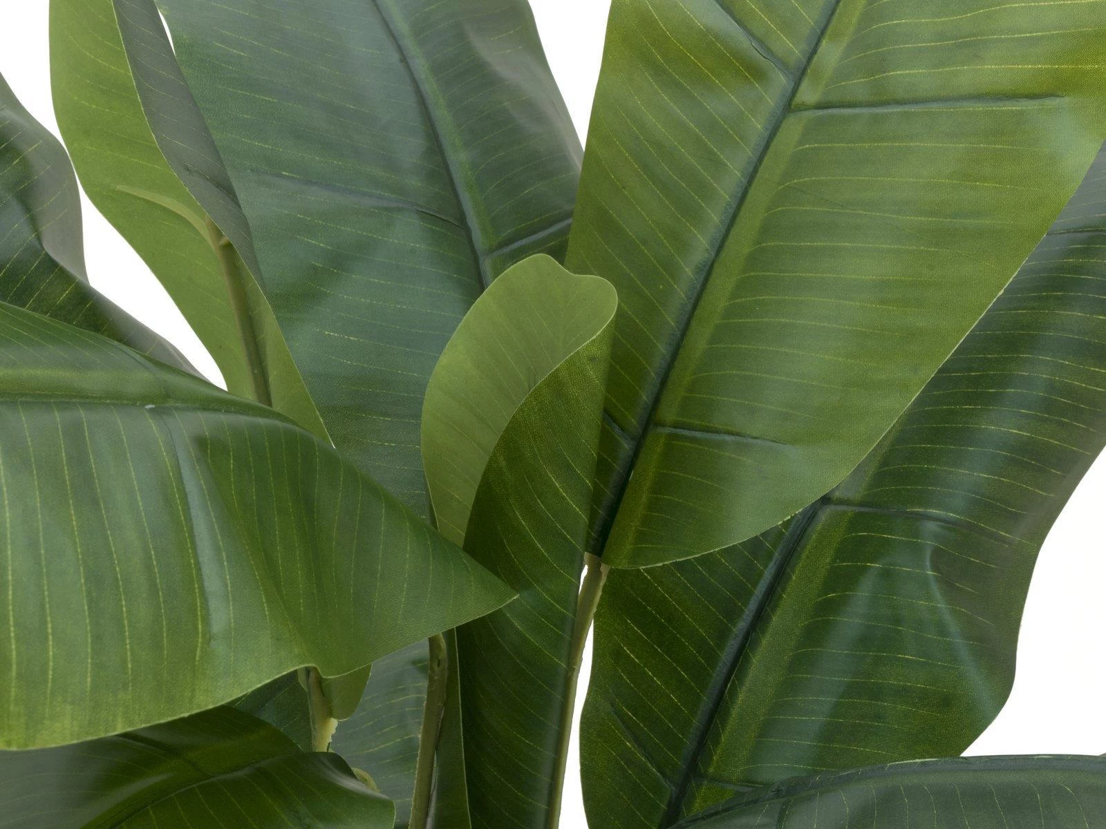 EUROPALMS mākslīgais banānu koks, 120cm, reālistiskas