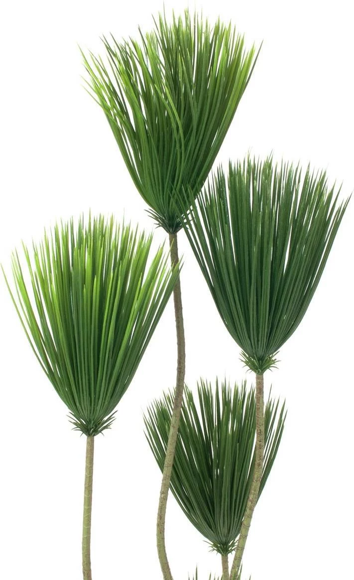 EUROPALMS Papyrus mākslīgais augs, 130 cm