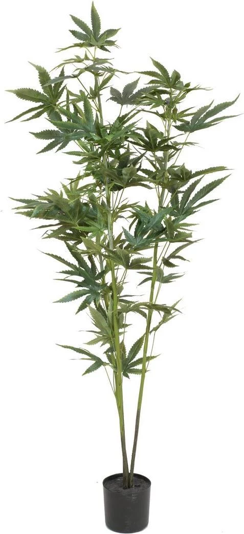 EUROPALMS mākslīgais kaņepju augs, 120cm, zaļš
