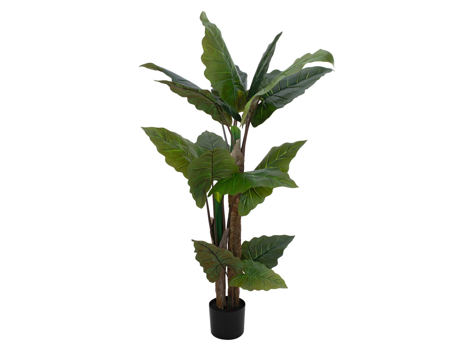 EUROPALMS Alocasia mākslīgais augs, 140cm, zaļš