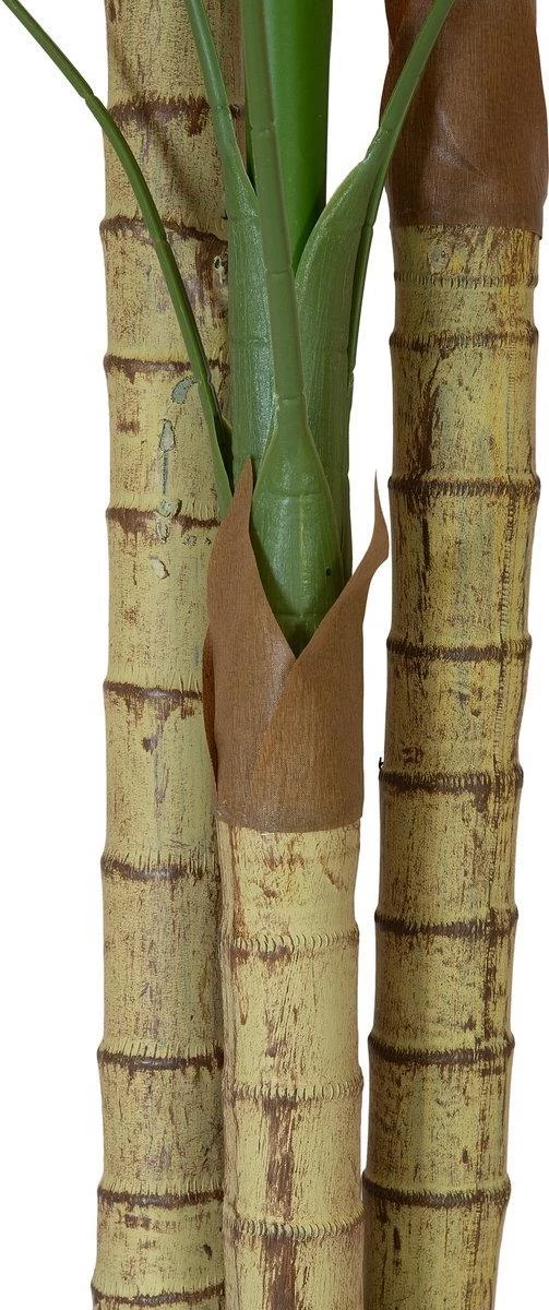EUROPALMS Areca palma, 3 stumbri, mākslīgais