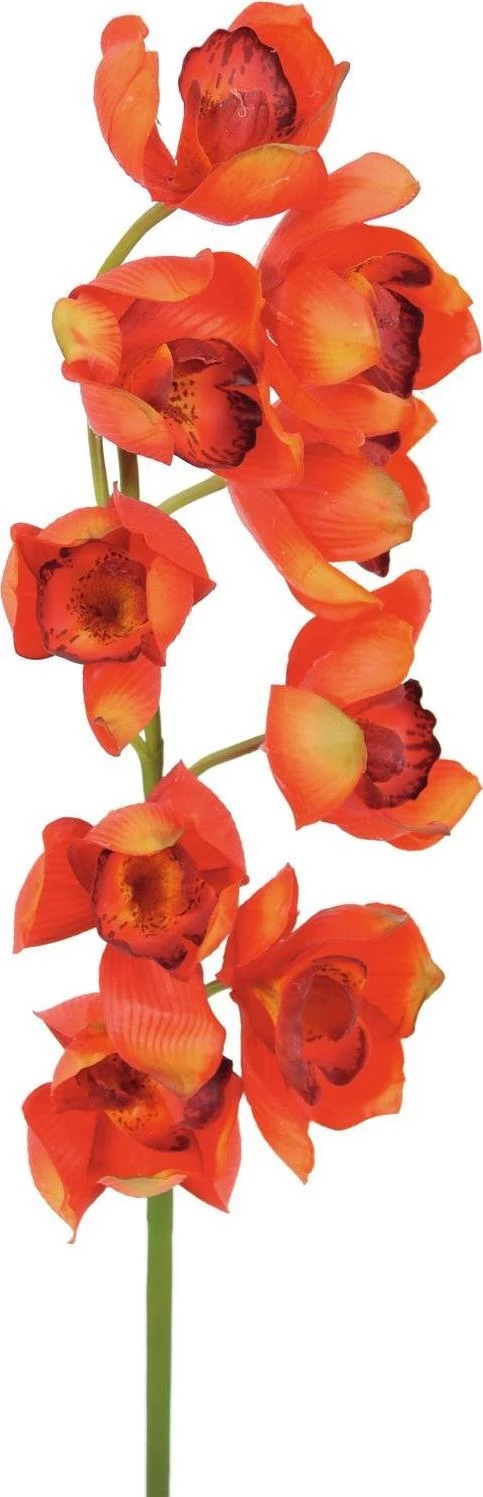 EUROPALMS Cymbidium zars, mākslīgs, sarkans, 90cm