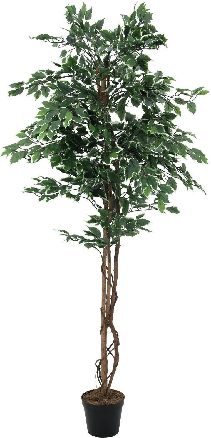 EUROPALMS Silberficus Benjamina mākslīgais augs, 180