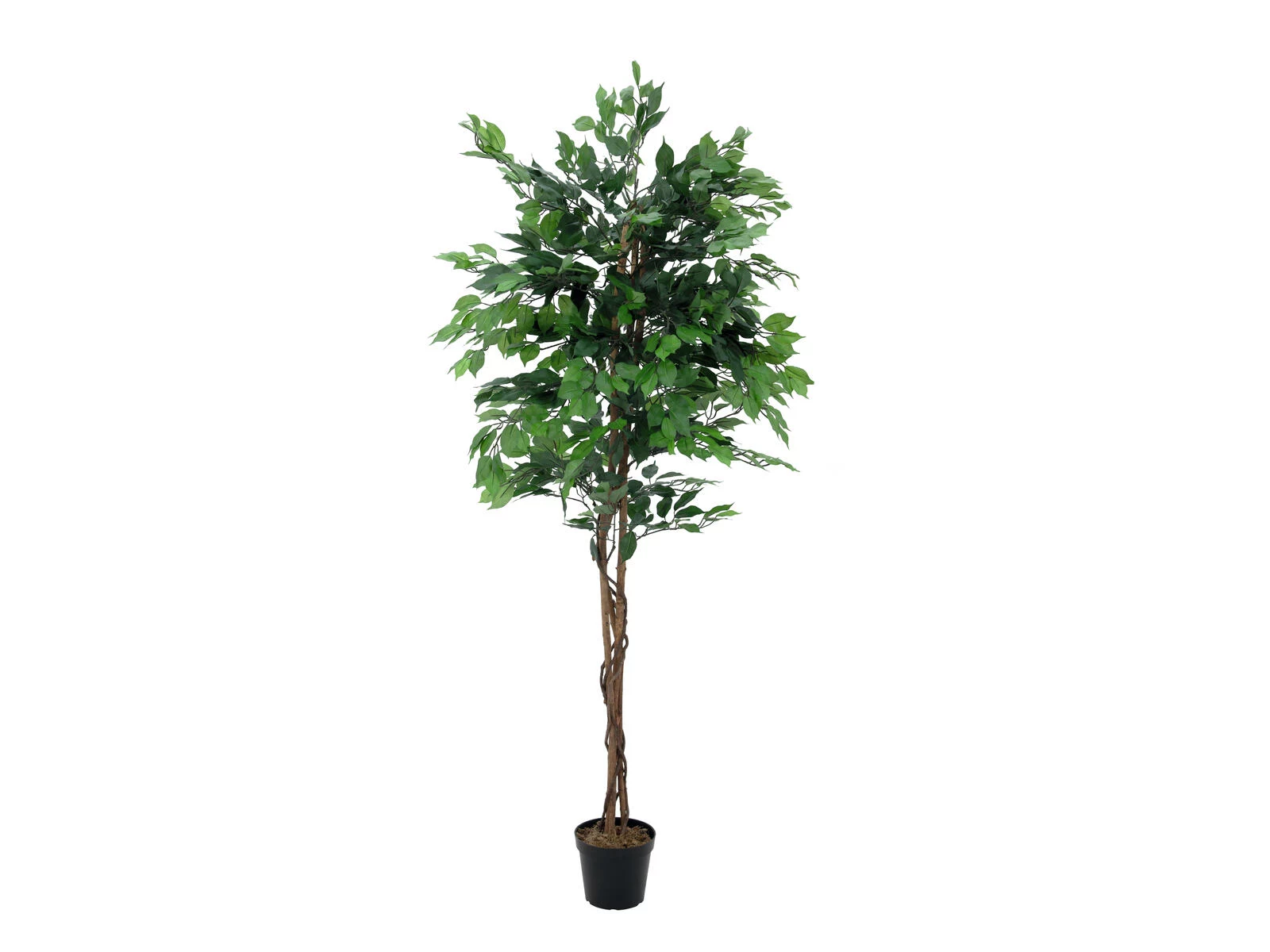 EUROPALMS Ficus Benjamina daudzstumbru mākslīgais augs