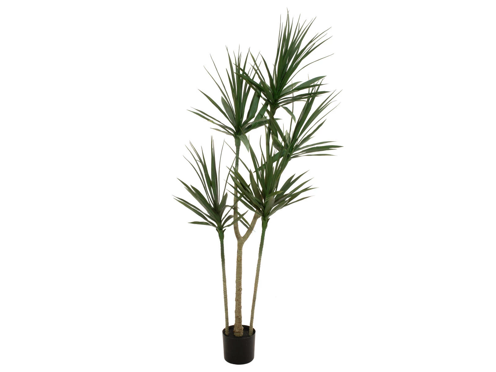 EUROPALMS Dracena mākslīgais augs, zaļš, 170