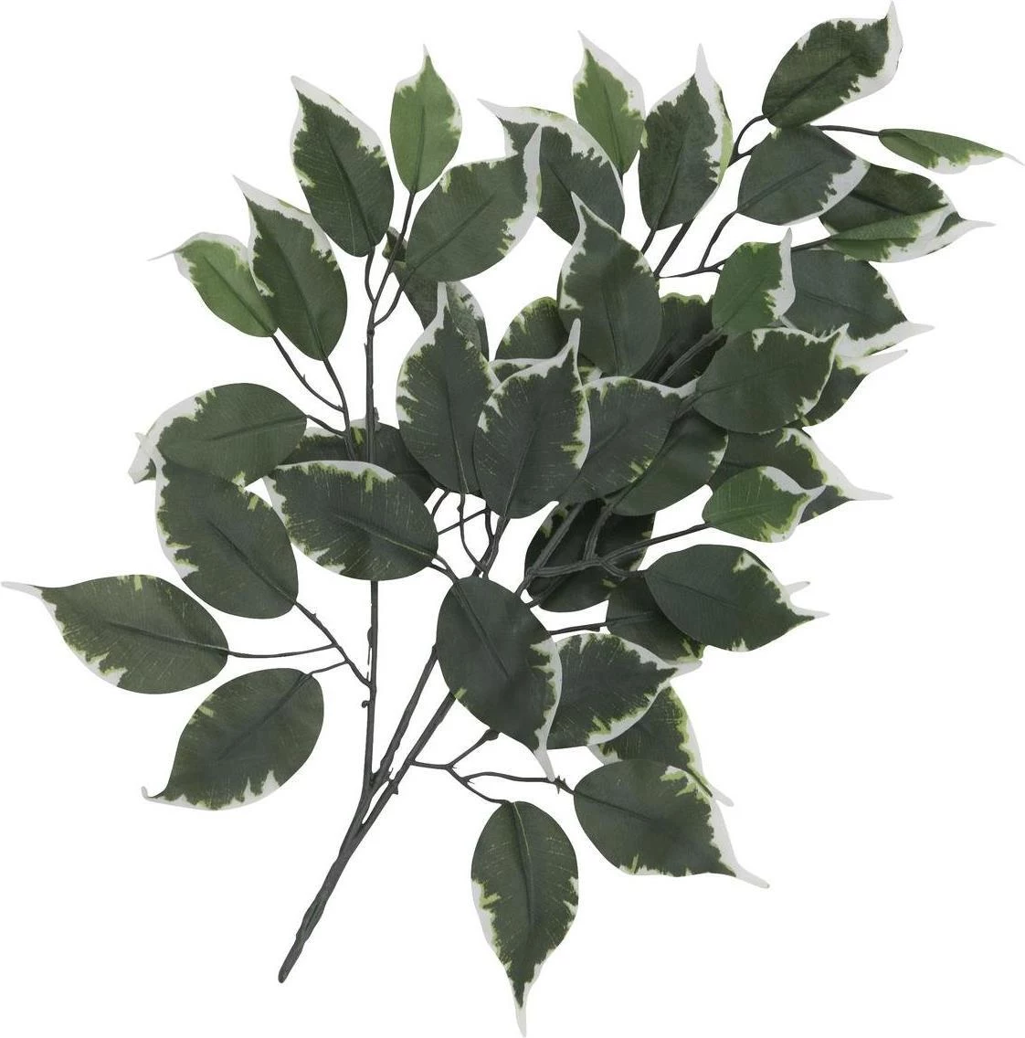 EUROPALMS mākslīgais Ficus zars, 12 gab