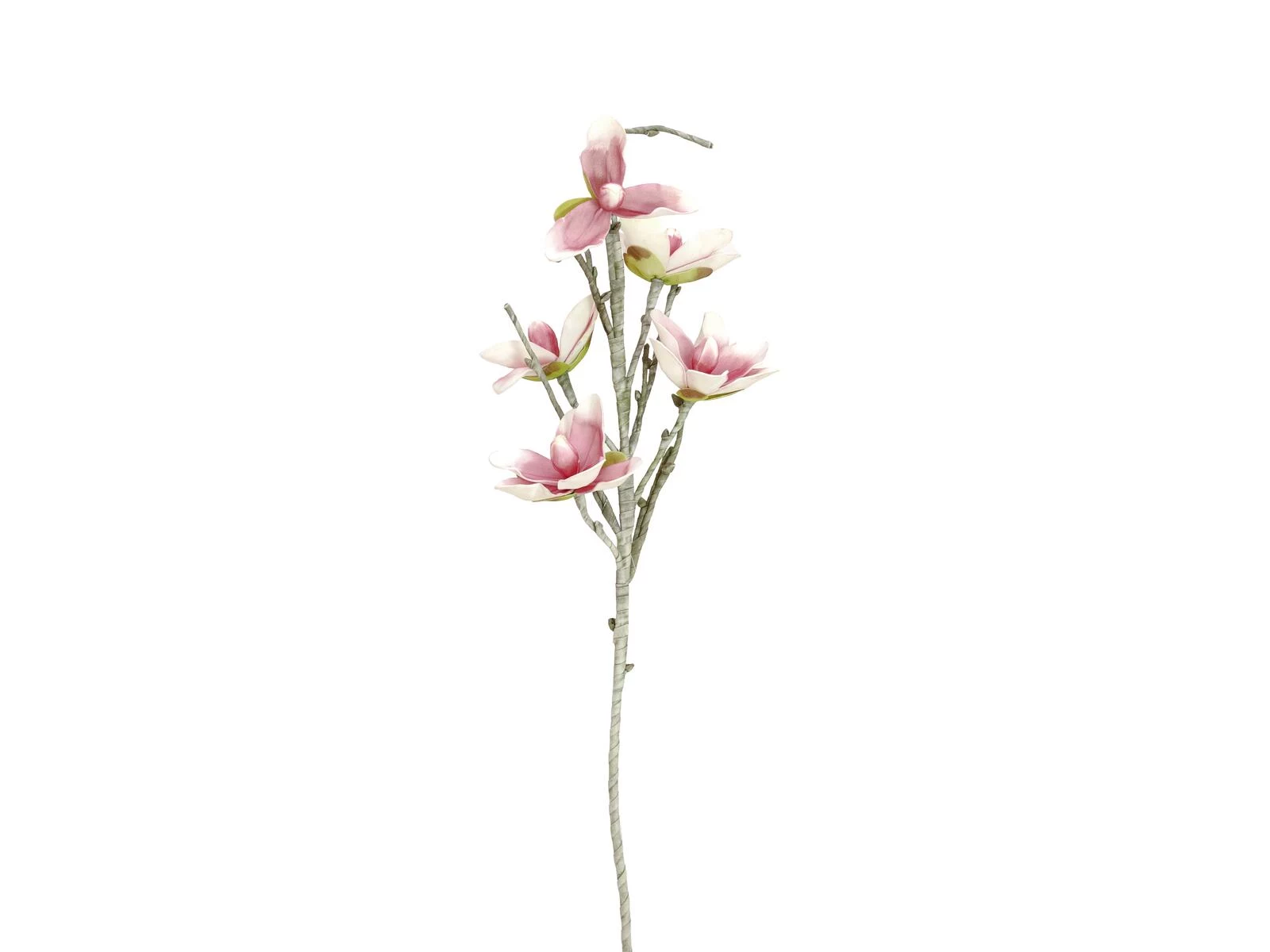 EUROPALMS mākslīgais magnolijas zars (EVA), balts-rozā