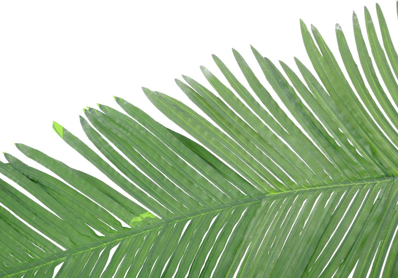 EUROPALMS mākslīgā kokospalmas karaliskā palmas lapa