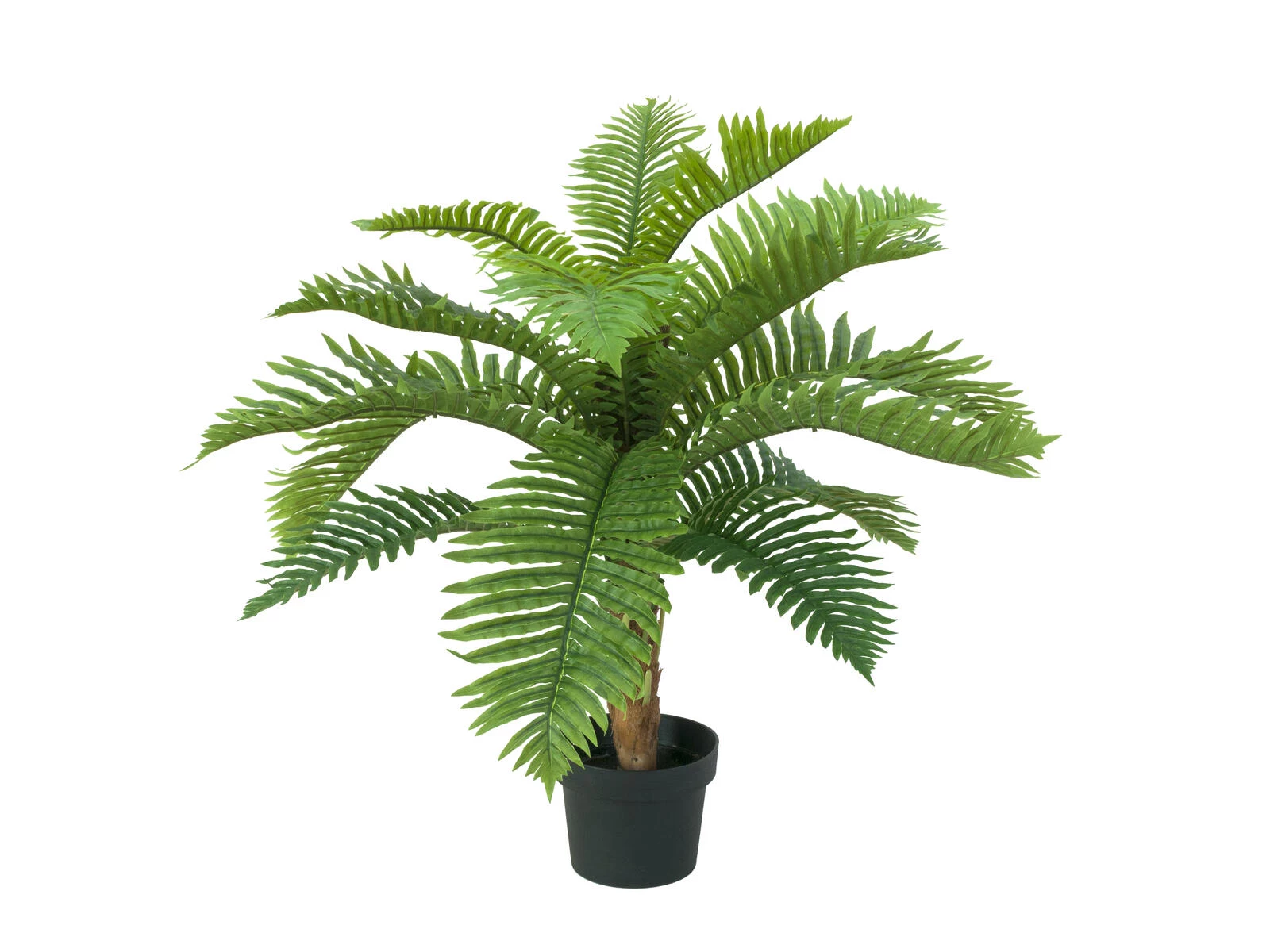 EUROPALMS Cycas Palm mākslīgais augs, 70