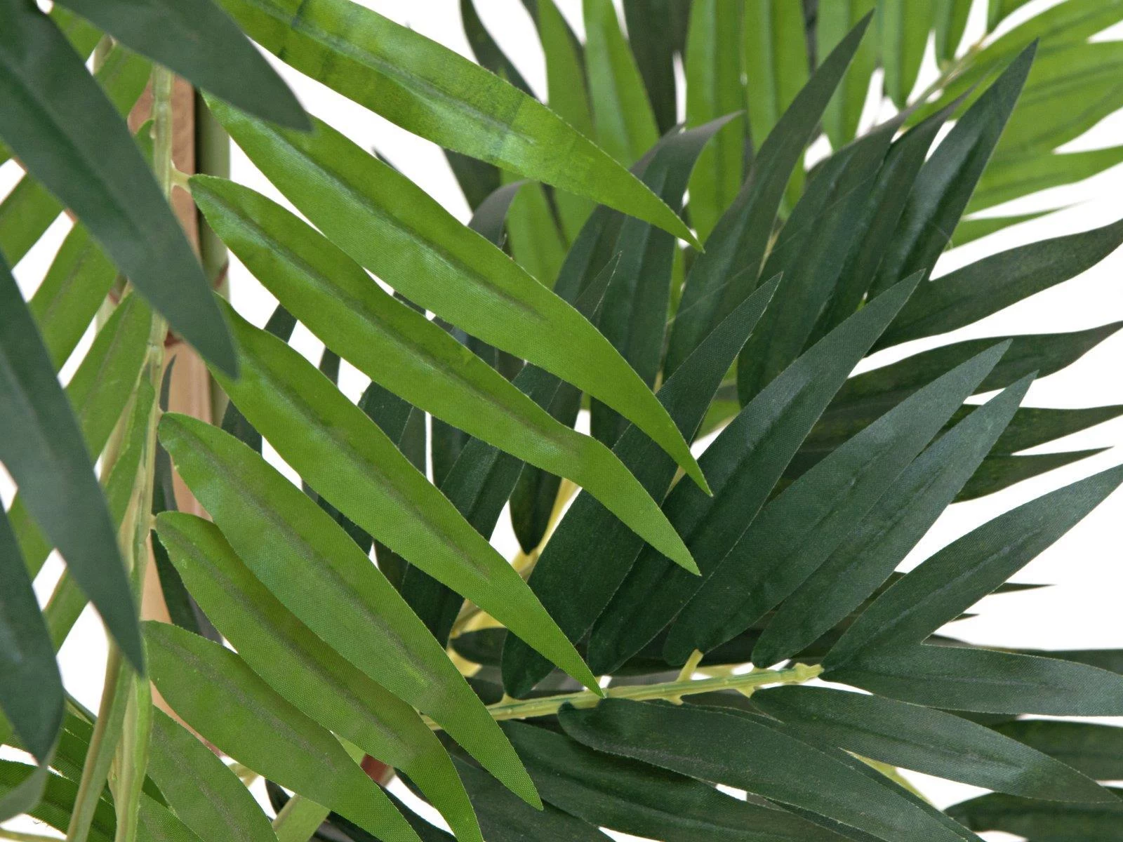 EUROPALMS mākslīgais palmu augs Parlour Palm