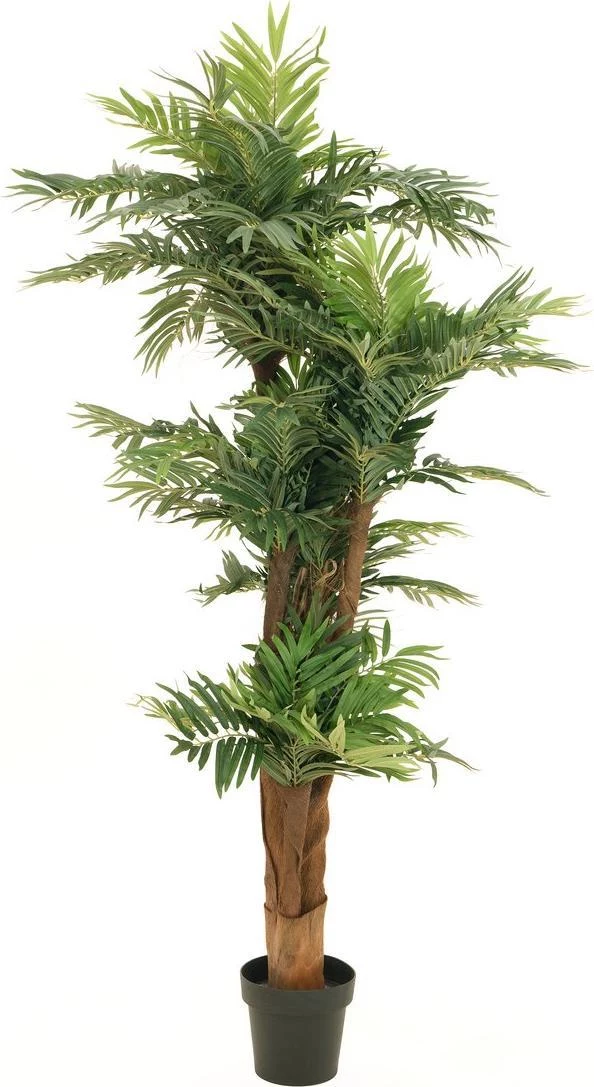 EUROPALMS Areca Palm mākslīgais augs 170cm