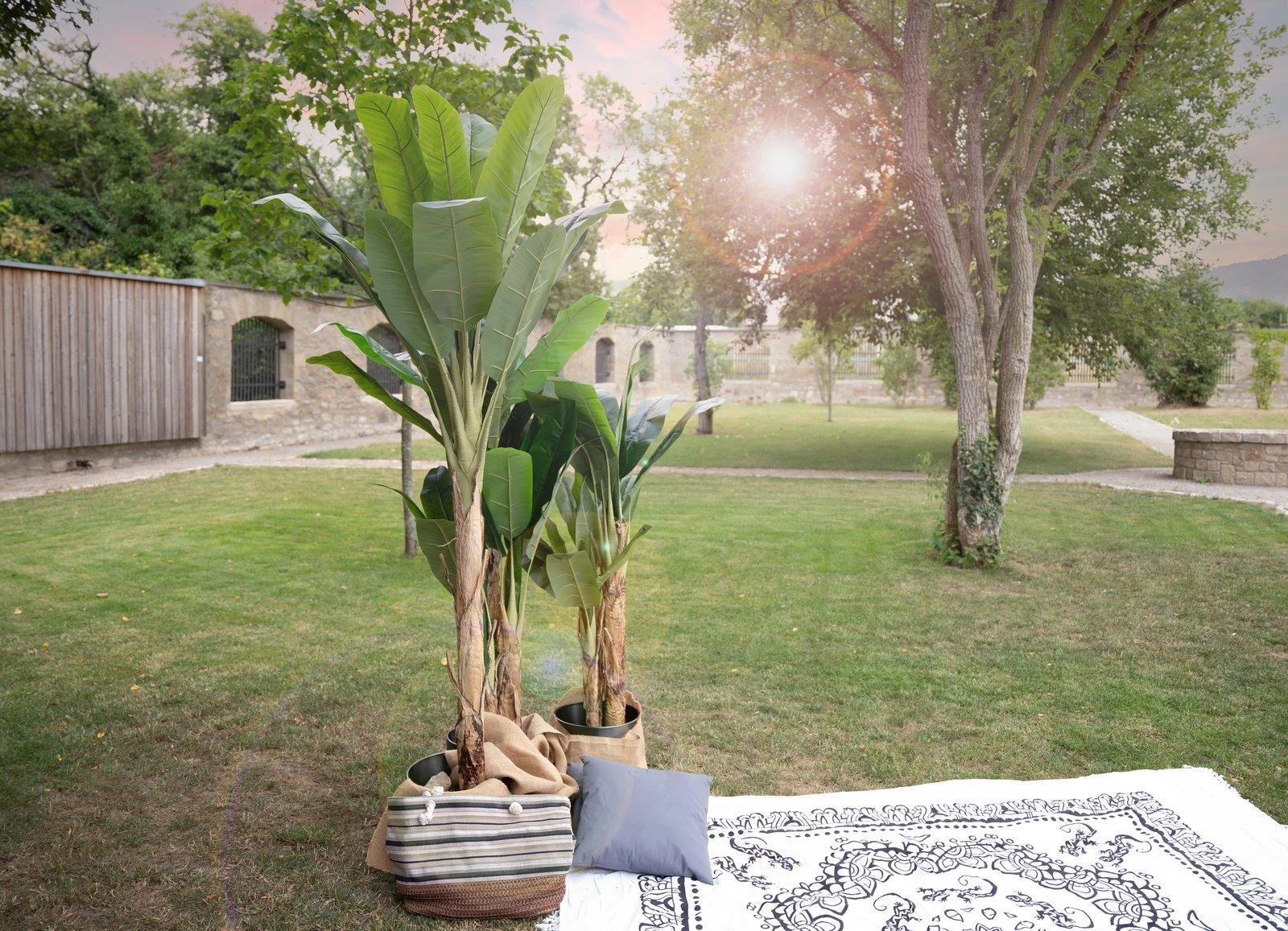 EUROPALMS mākslīgais banānu koks, 210 cm