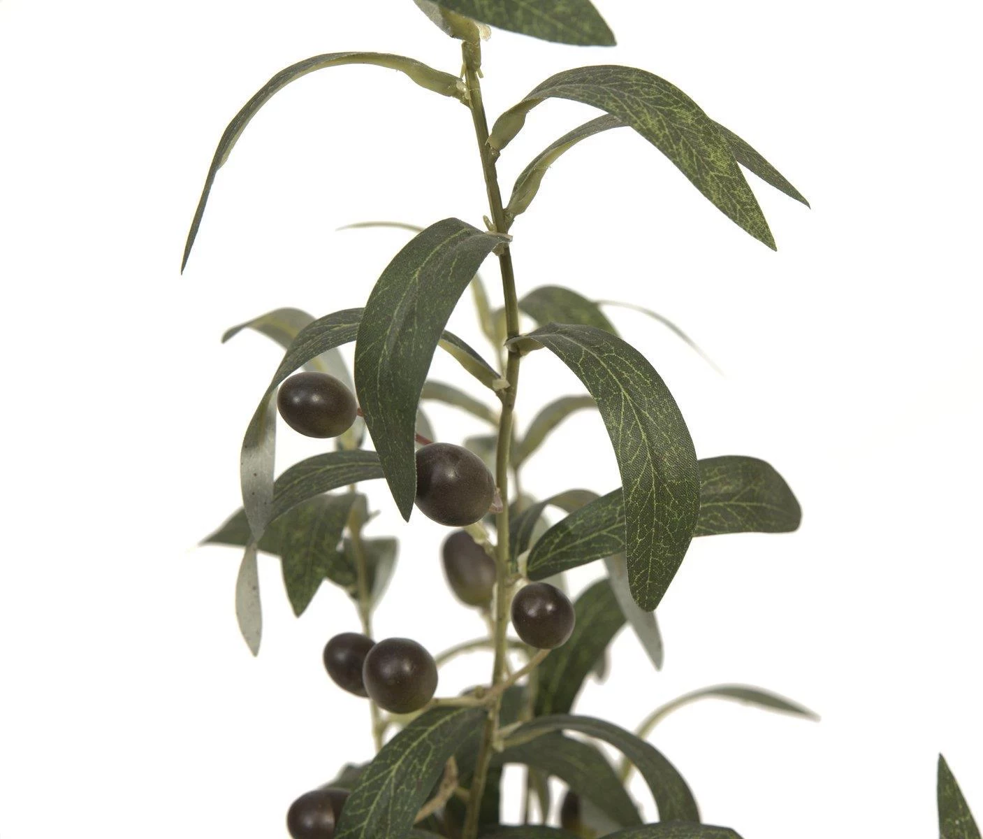 EUROPALMS mākslīgais olīvkoks, 68 cm, zaļas