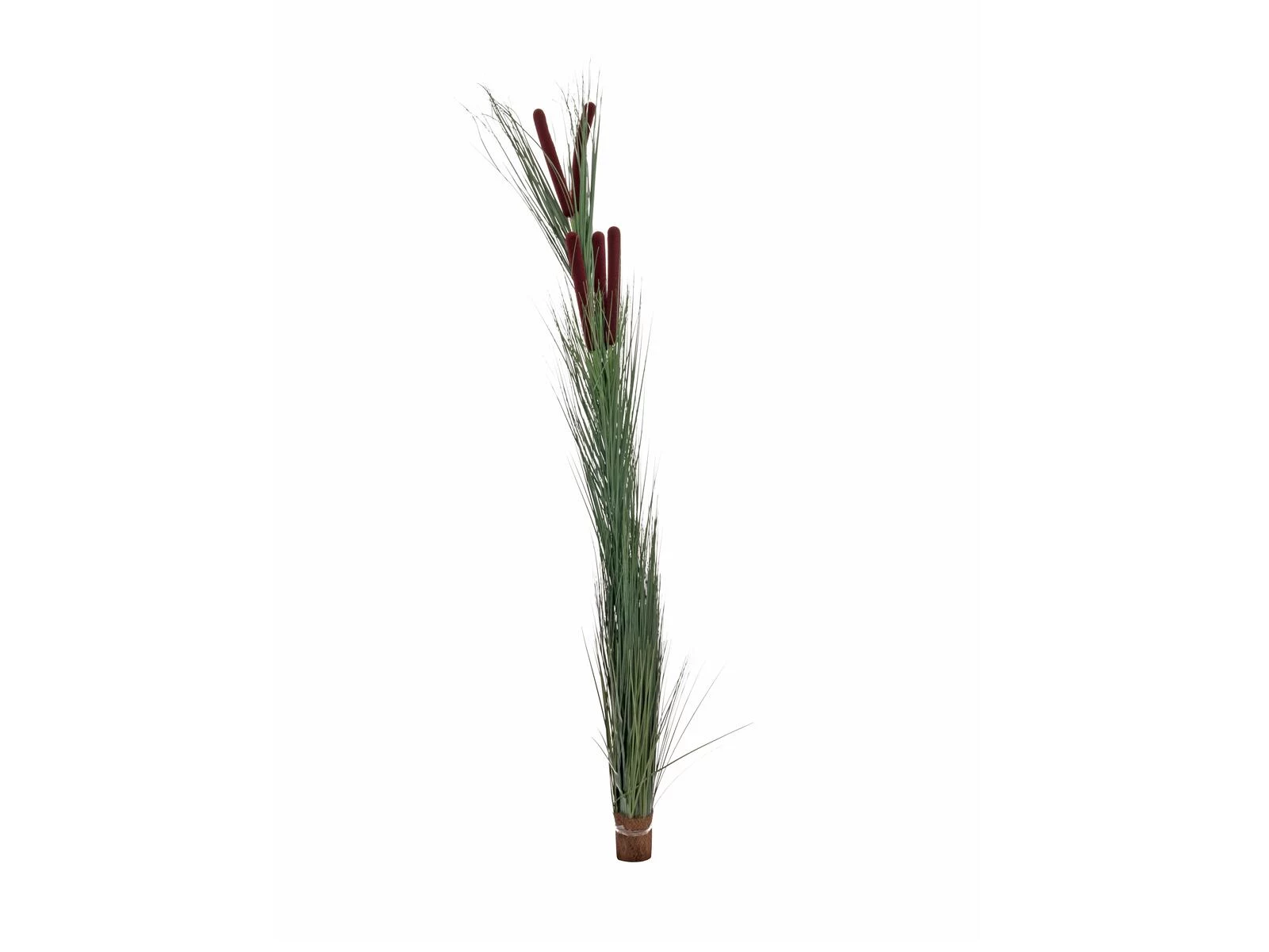 EUROPALMS mākslīgā niedru zāle ar pūkām