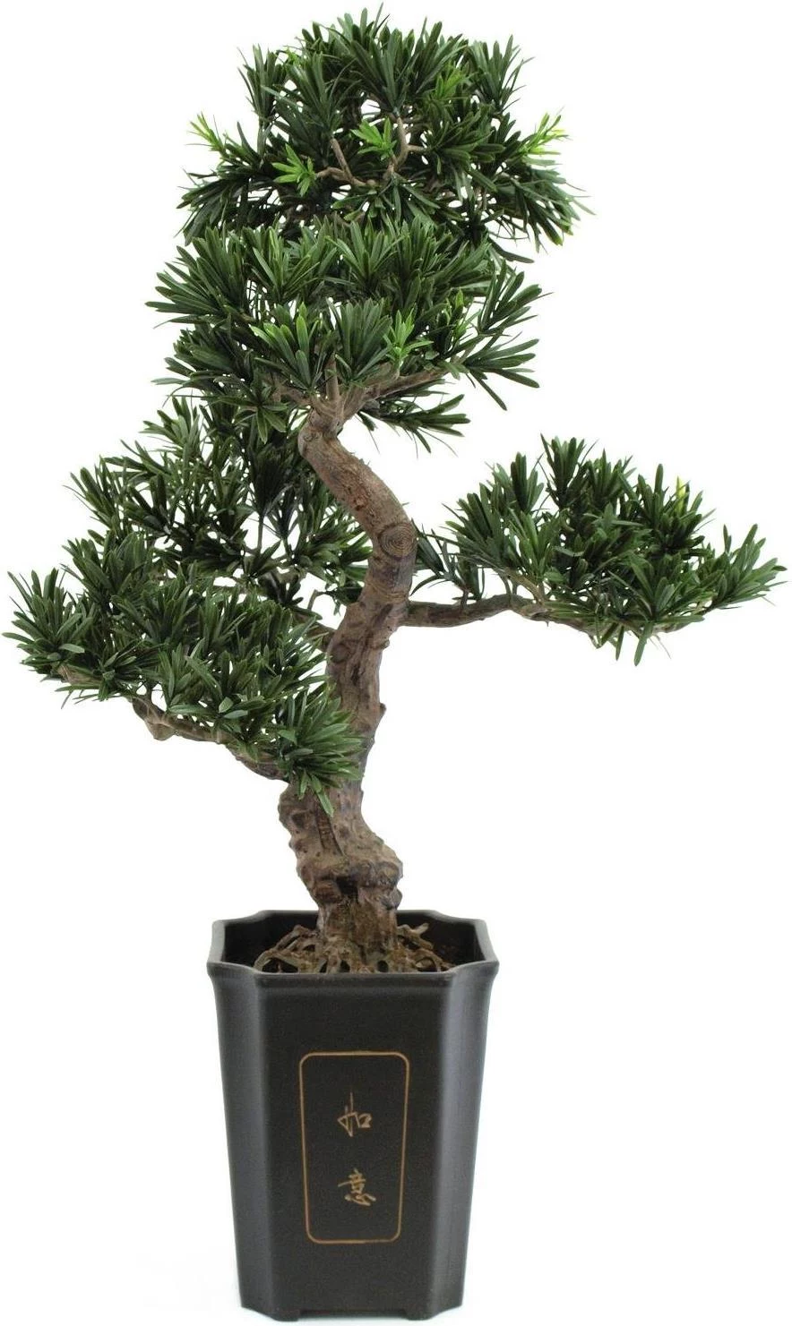 EUROPALMS Bonsai Podocarpus mākslīgais augs, 80cm