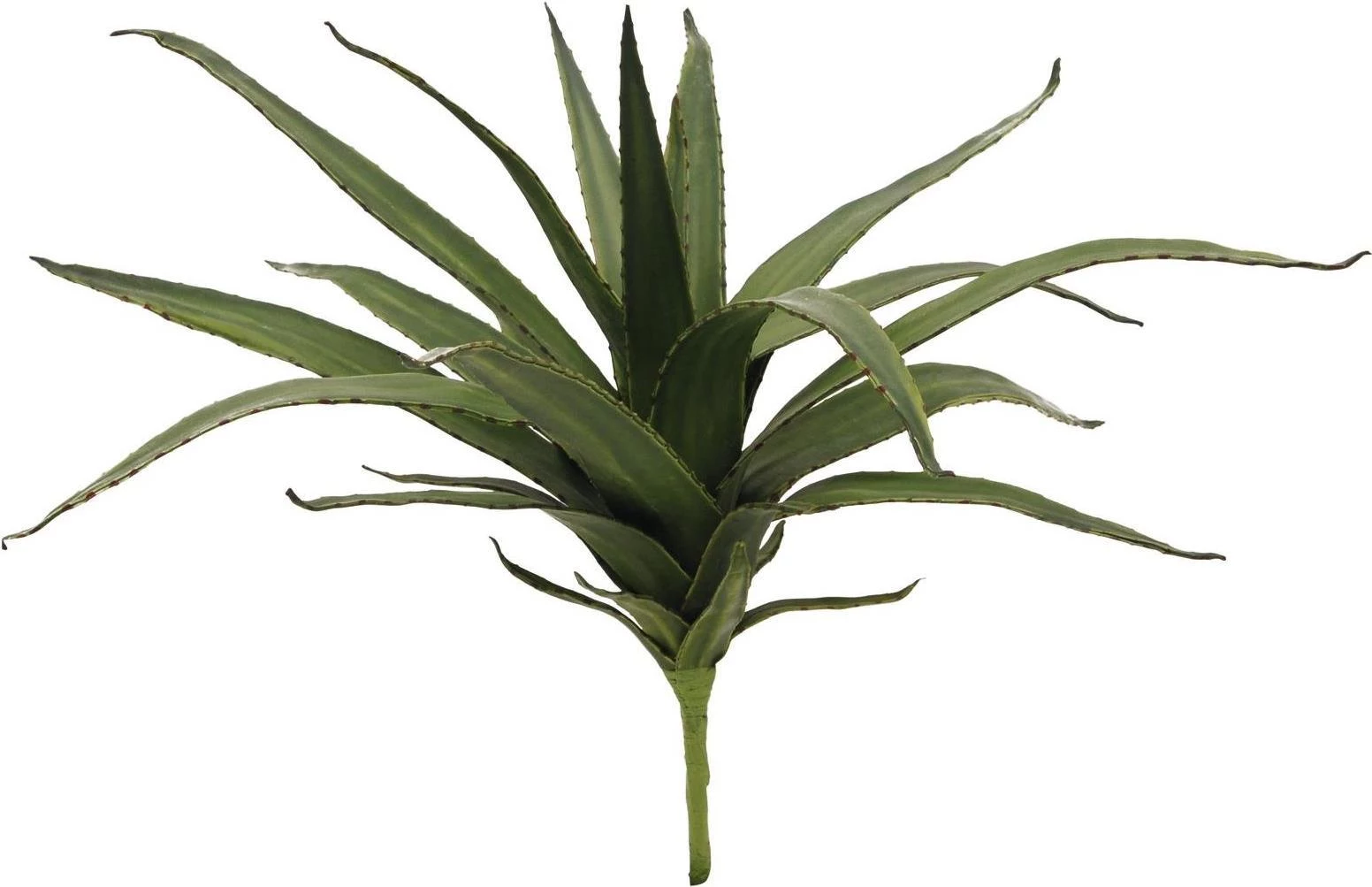 EUROPALMS Aloe (EVA), mākslīgā, zaļa, 50cm