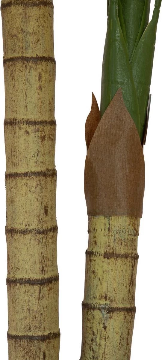 EUROPALMS Areca palma, 2 stumbru, mākslīgais