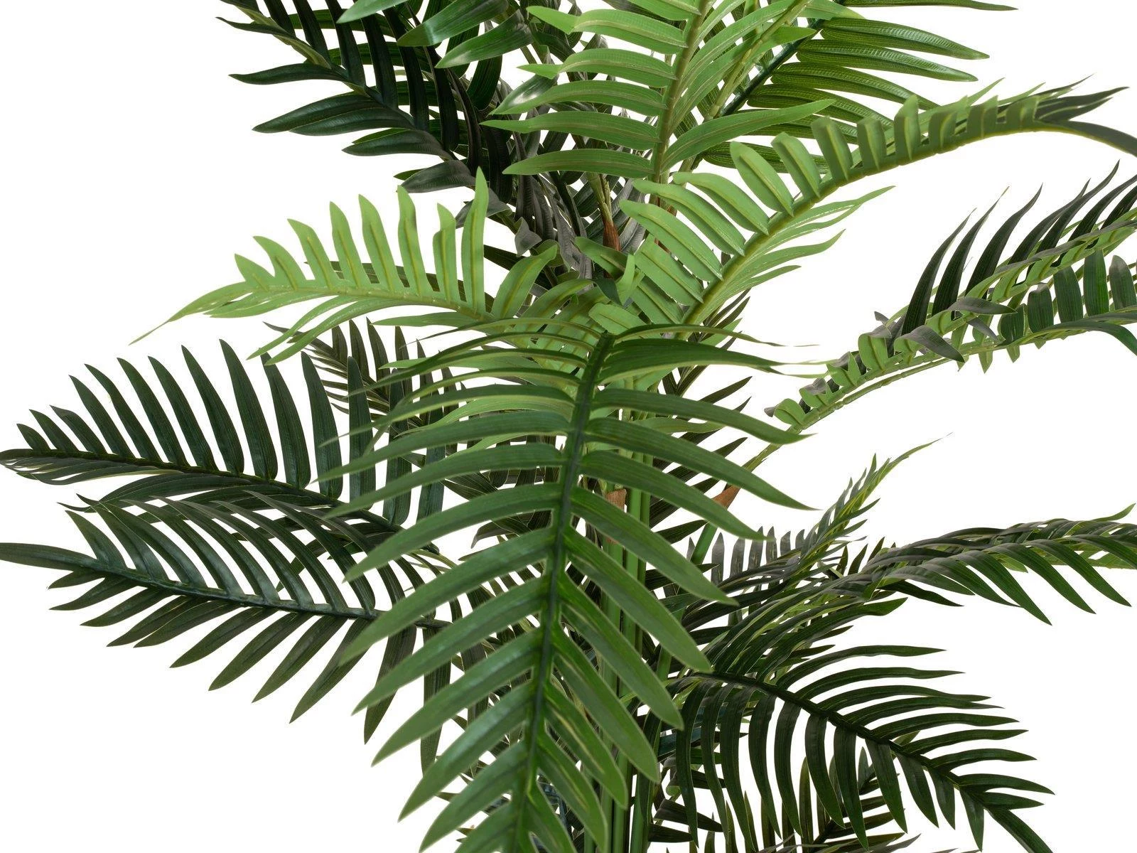 EUROPALMS Areca Palm mākslīgais augs, 150cm