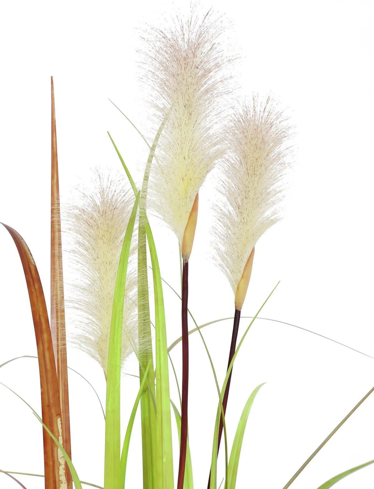 EUROPALMS Wild Growth mākslīgais augs, 120cm