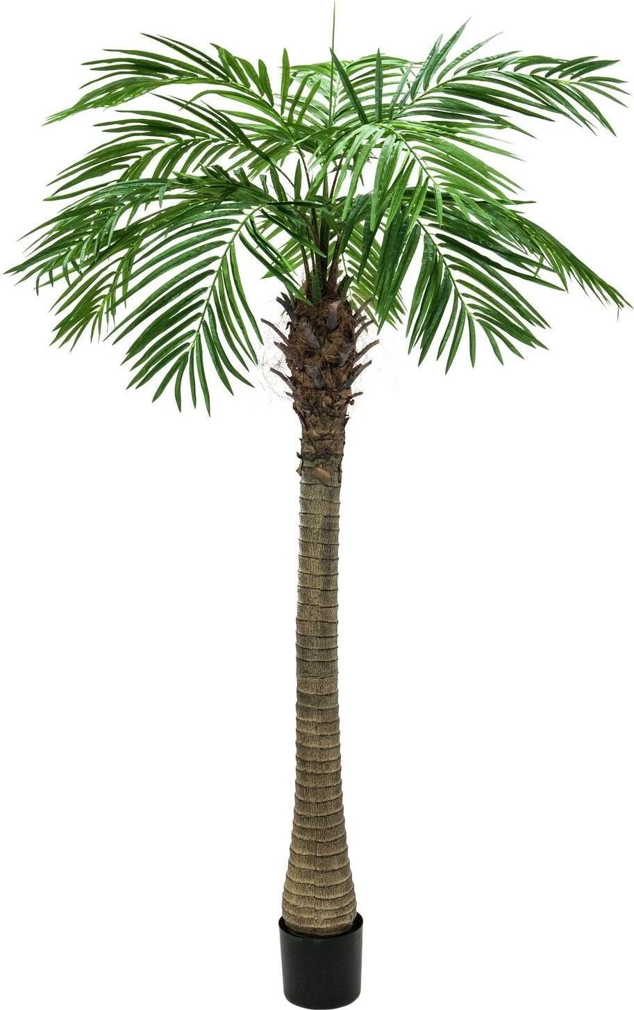 EUROPALMS Phoenix Palm Luxor mākslīgais augs