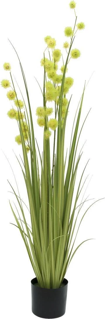 EUROPALMS Pompom Grass mākslīgais augs, 122