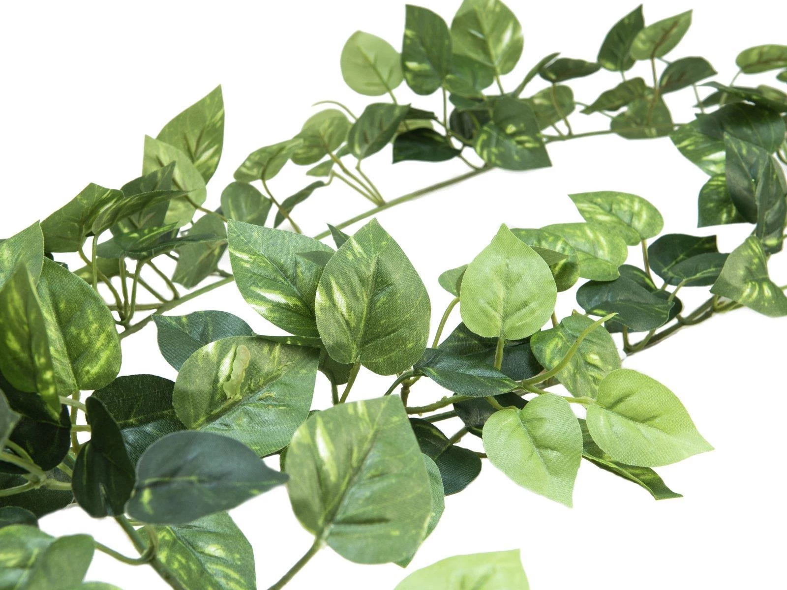 EUROPALMS Pothos Garland Classic, mākslīgs, 180cm