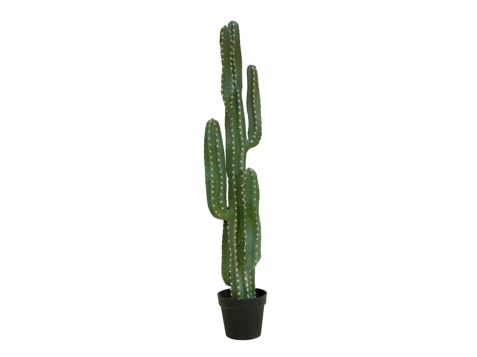 EUROPALMS mākslīgais Meksikas kaktuss, zaļš, 123cm