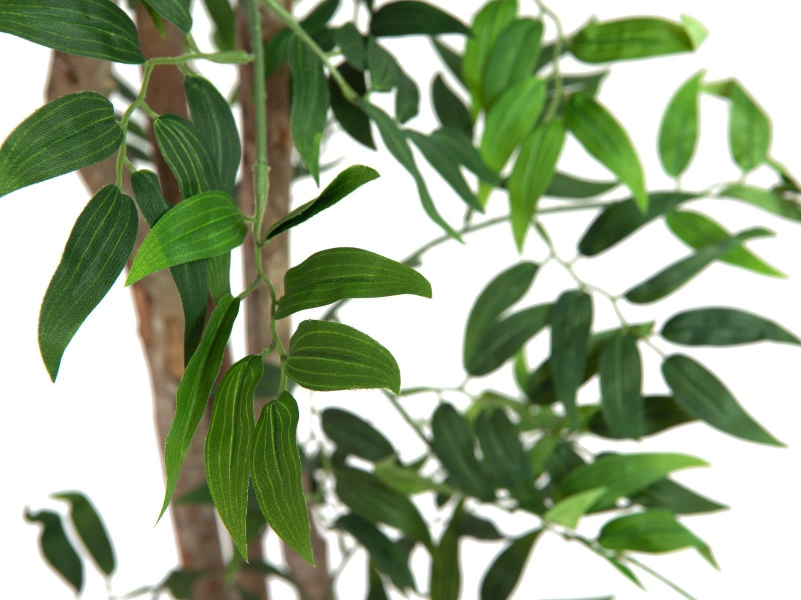 EUROPALMS Ficus Longifolia mākslīgais augs, 165cm