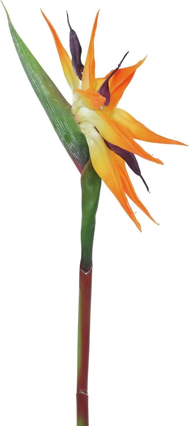 EUROPALMS mākslīgais Strelitzia jeb paradīzes putna