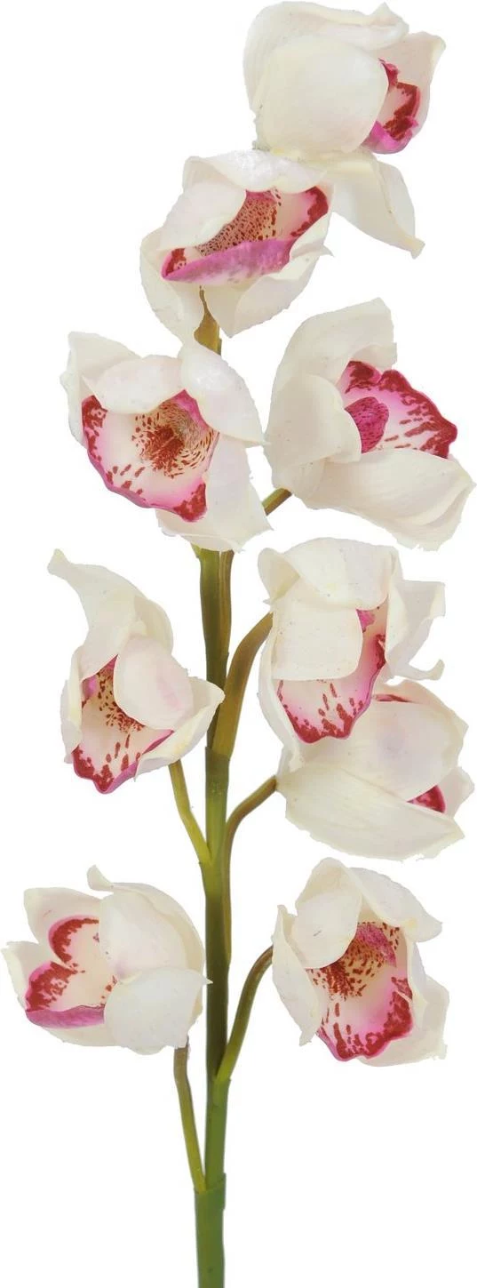 EUROPALMS Cymbidium zars, mākslīgs, balts-rozā, 90cm