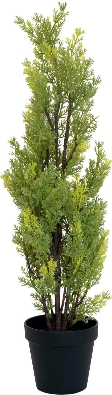 EUROPALMS Leyland Cypress mākslīgais augs, 60cm