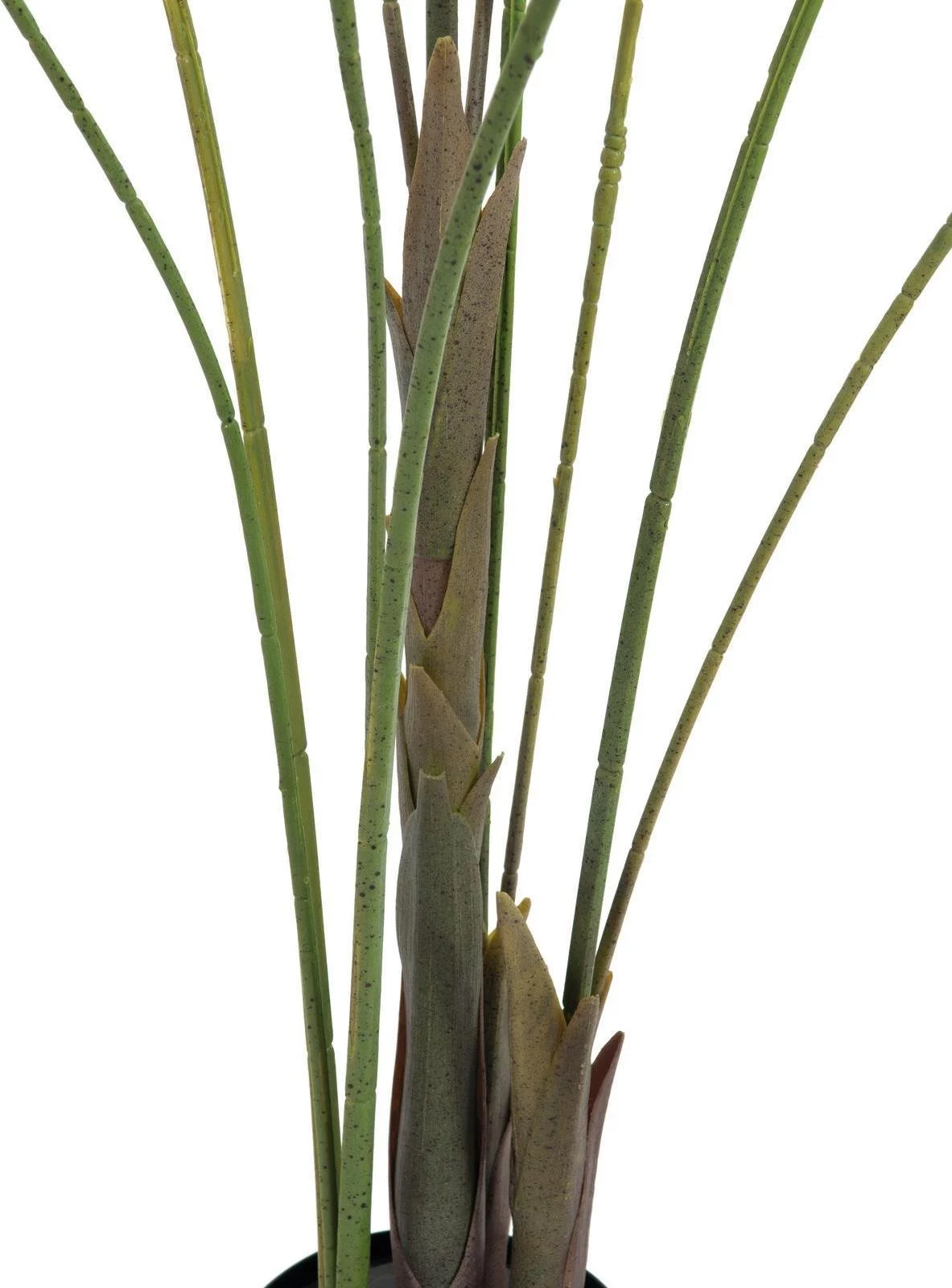 EUROPALMS Großblatt-Areca mākslīgā Areca palma, 185cm