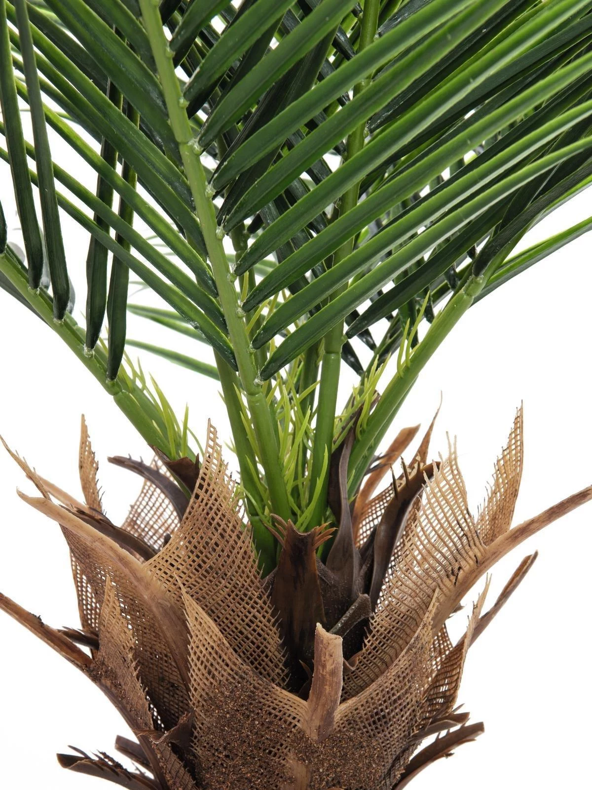 EUROPALMS Phoenix Palm Deluxe mākslīgais augs