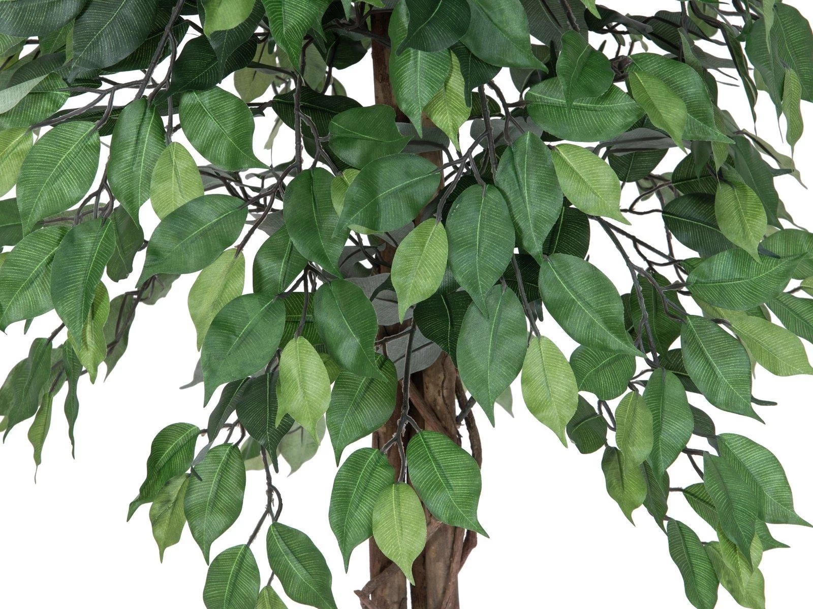 EUROPALMS Ficus Benjamina daudzstumbru mākslīgais augs