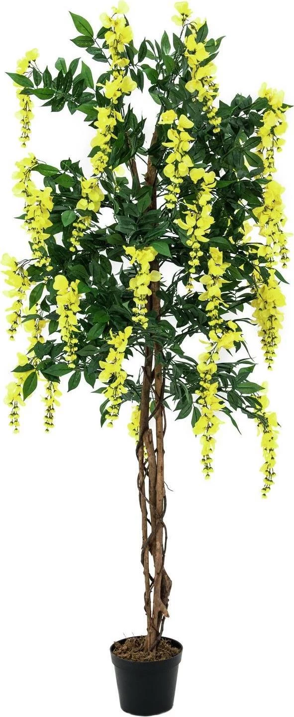 EUROPALMS mākslīgais zelta lietus koks, dzeltens