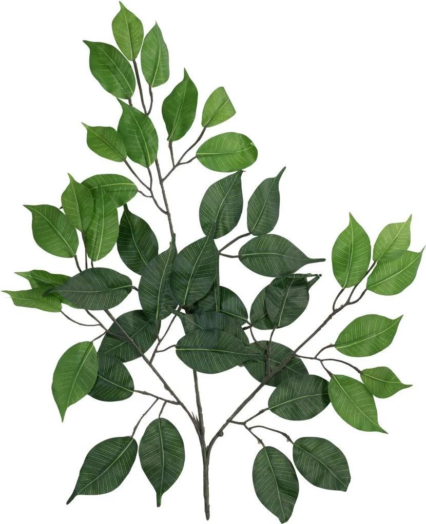 EUROPALMS Ficus Benjamina mākslīgais zars, 60