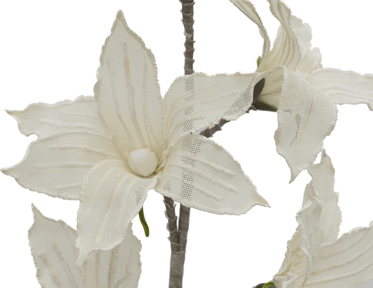 EUROPALMS Clematis Branch (EVA), mākslīgs, balts