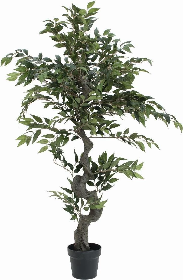 EUROPALMS Ficus Waldbaum mākslīgais augs, 110cm