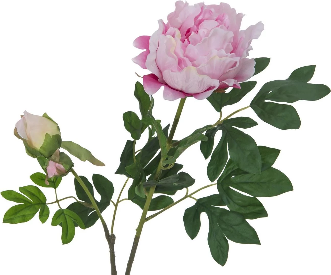 EUROPALMS Premium Peony Branch mākslīgais augs